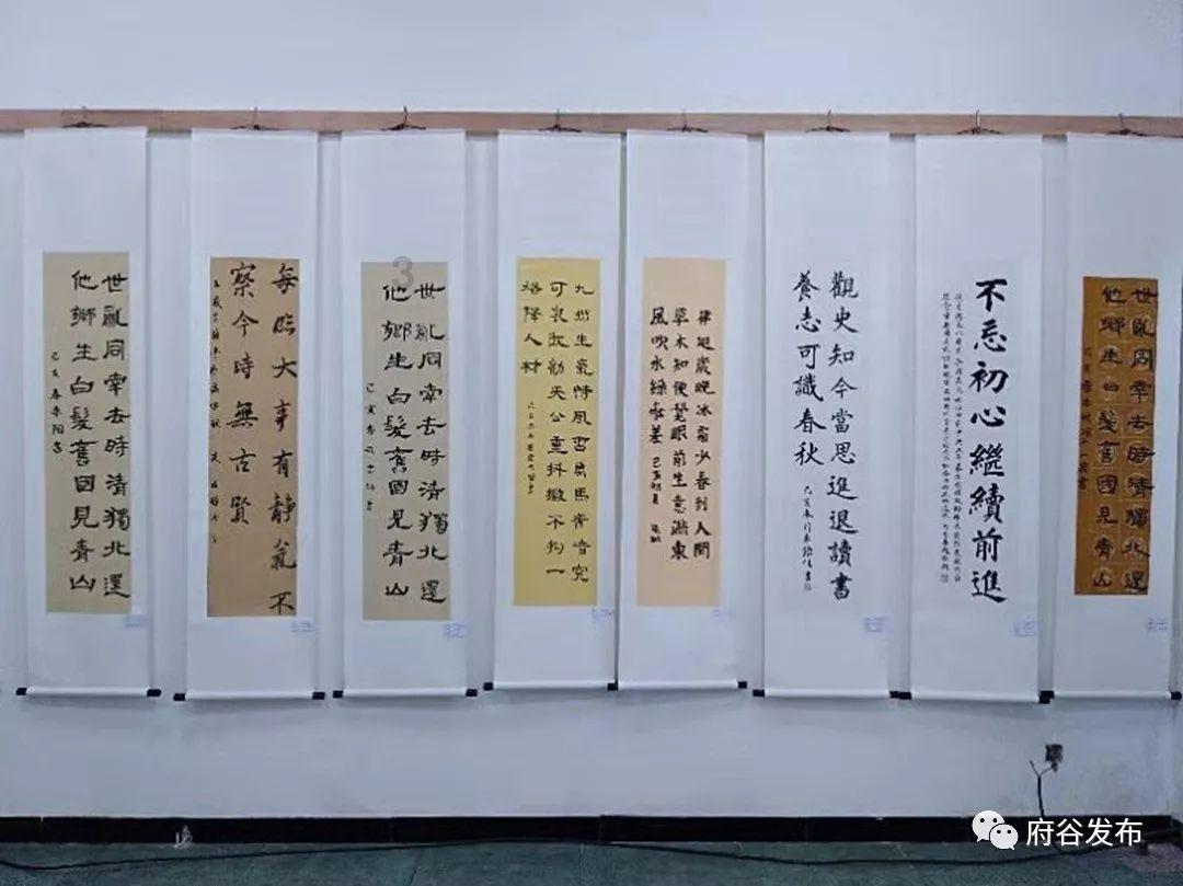 加勒比巡航
